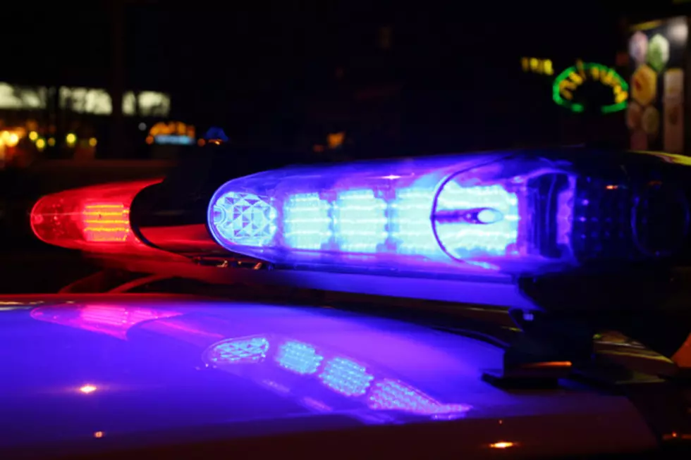 Older Sister Credited for Stopping Attempted Child Abduction in Fenton