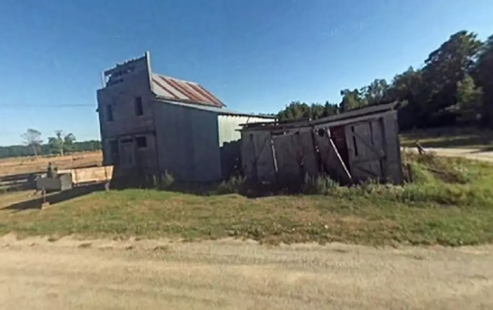 Are Gold Coins Still Buried Under a Tree in This Ghost Town? Delta County, Michigan