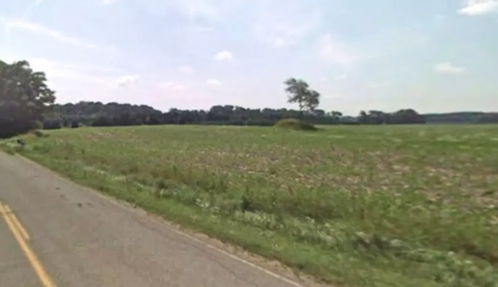 The Man Who Has Been Buried in This Mound Since 1850: Shiawassee County