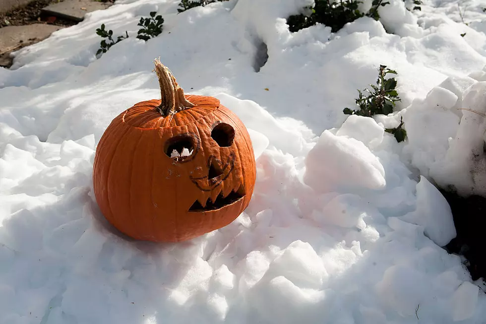 Parts of Michigan Could See Some Light Snow This Weekend